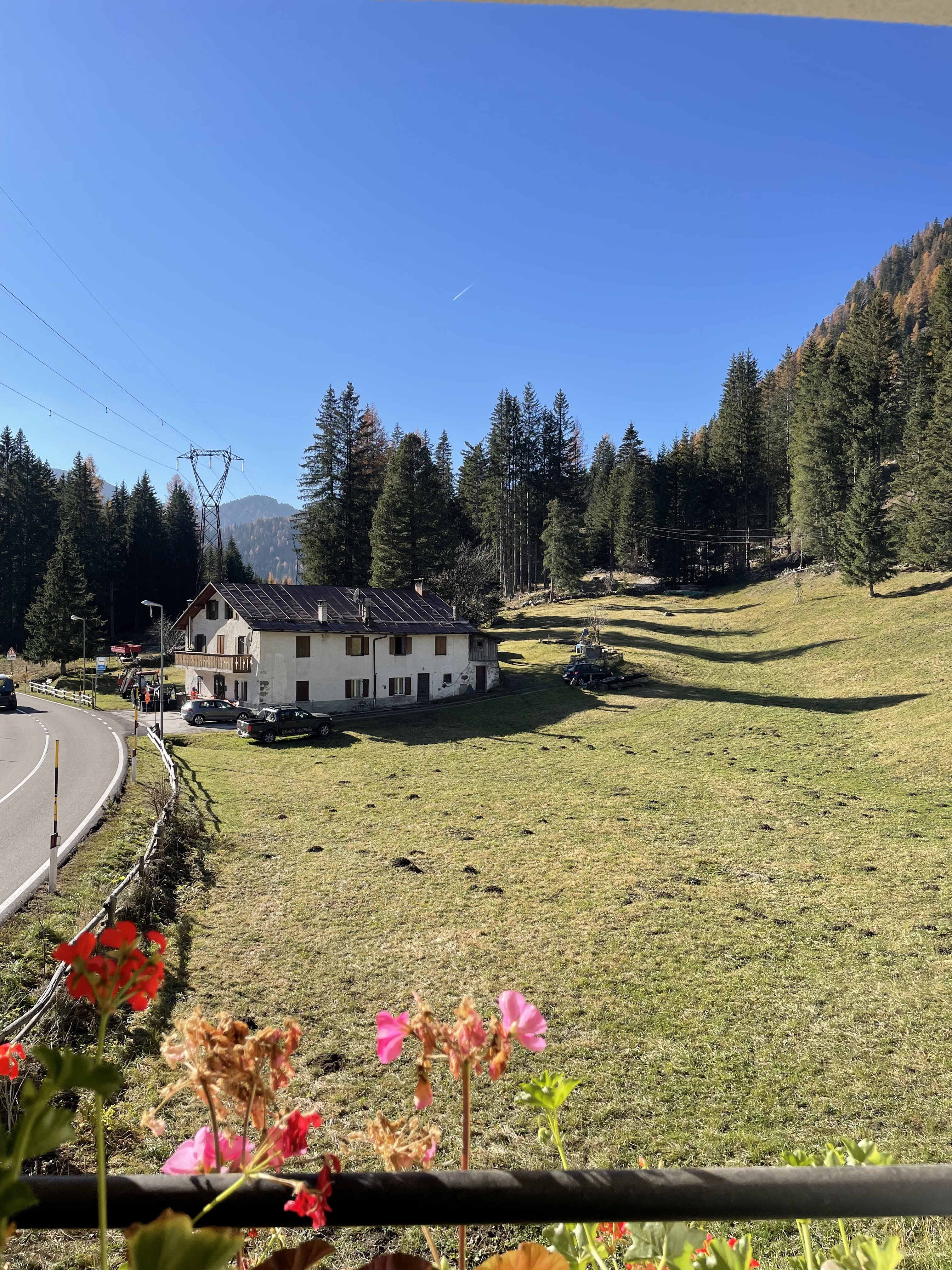 Fate — panorama